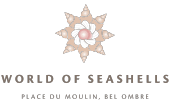 World of Seashells